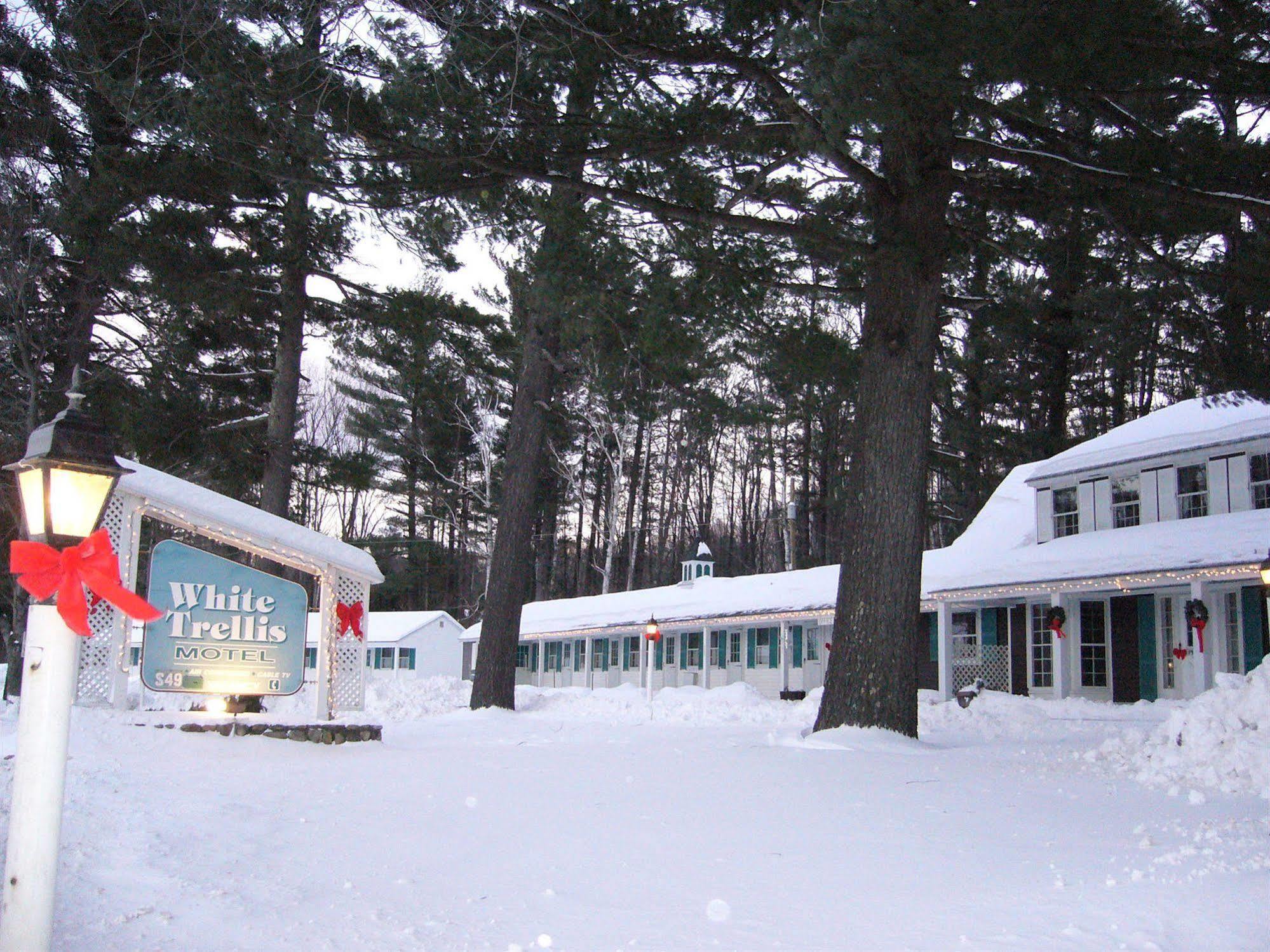 White Trellis Motel North Conway Exterior foto